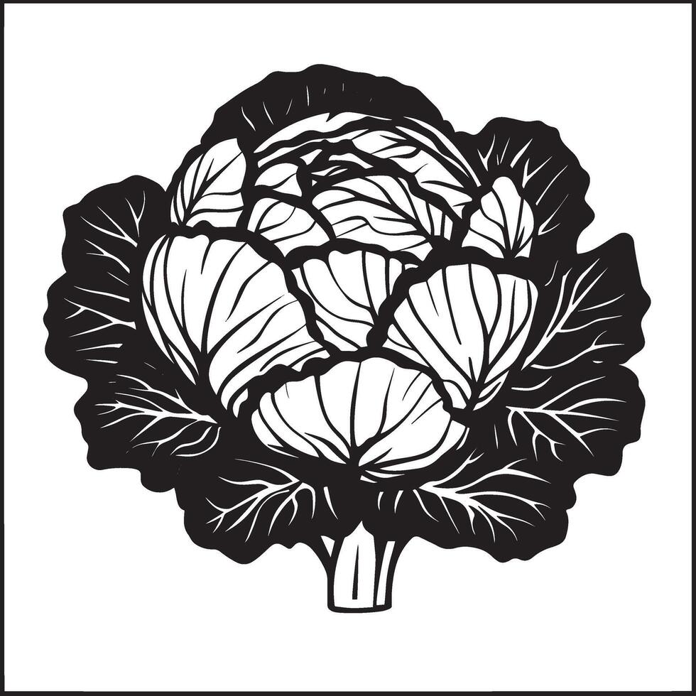 Kale vegetable symbol in black style vector