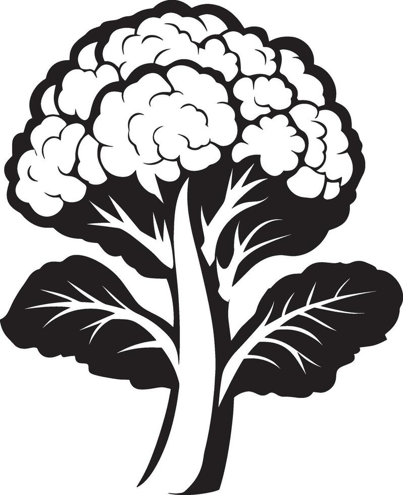 Cauliflower simple silhouette black illustration vector