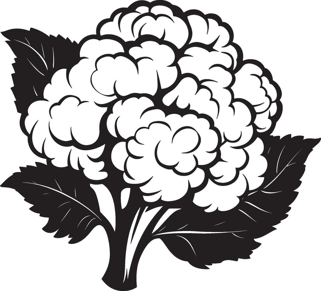 Cauliflower symbol in black style vector