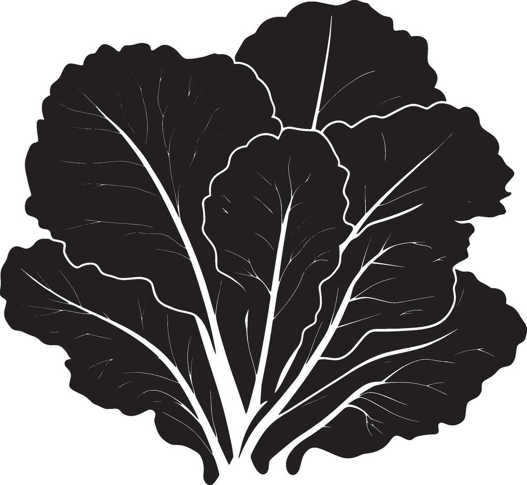 Minimalist black silhouette of lettuce in format vector
