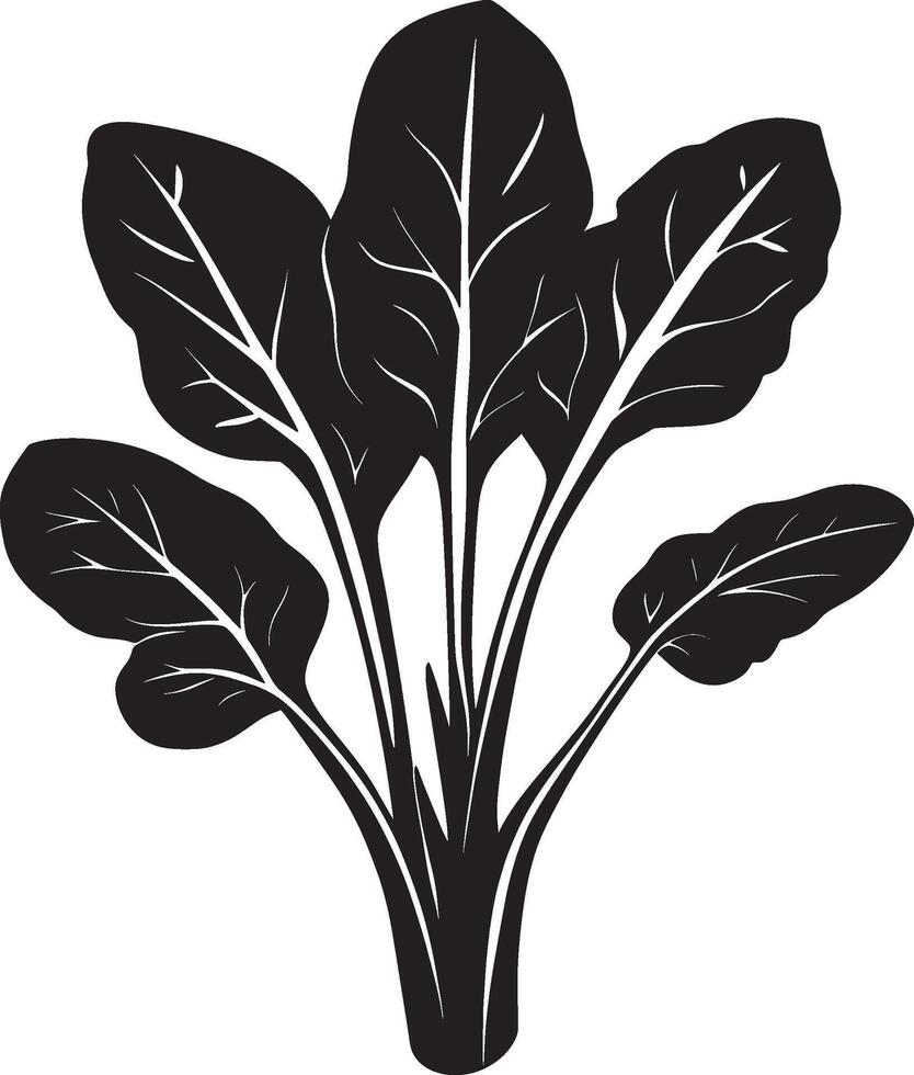Minimalist black silhouette of spinach in format vector