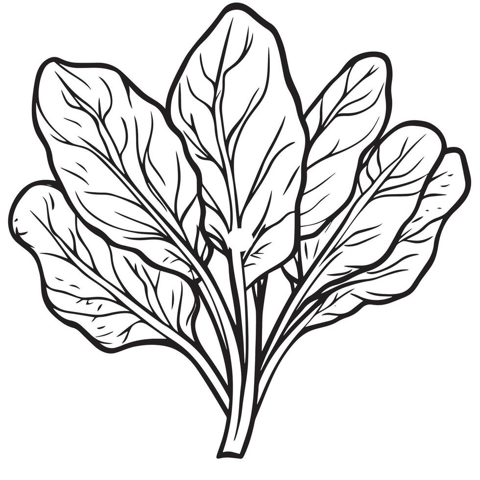 Black illustration of a spinach outline vector