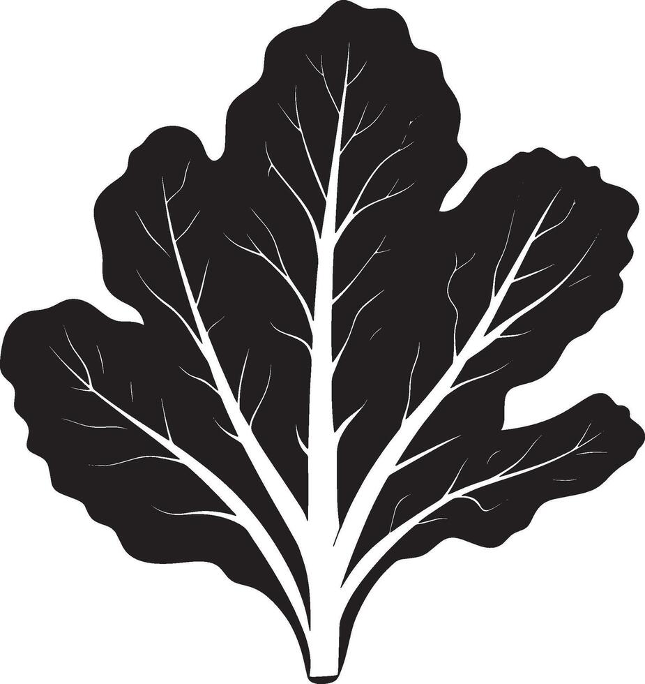 Lettuce simple silhouette black illustration vector