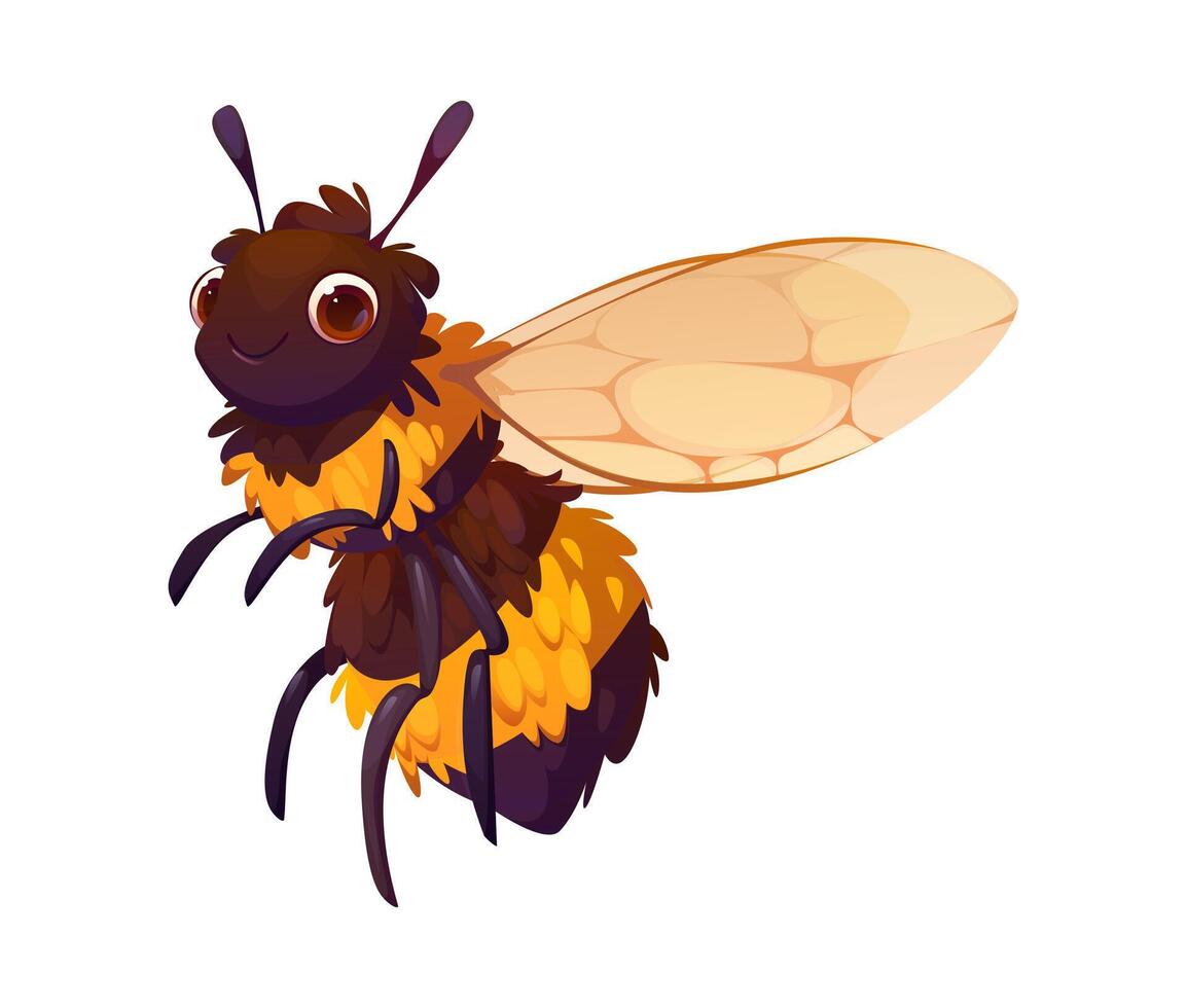 Cartoon funny bumblebee flying insect character vector