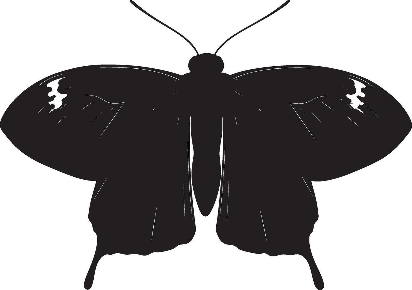 Minimalist black silhouette of a moth in format vector