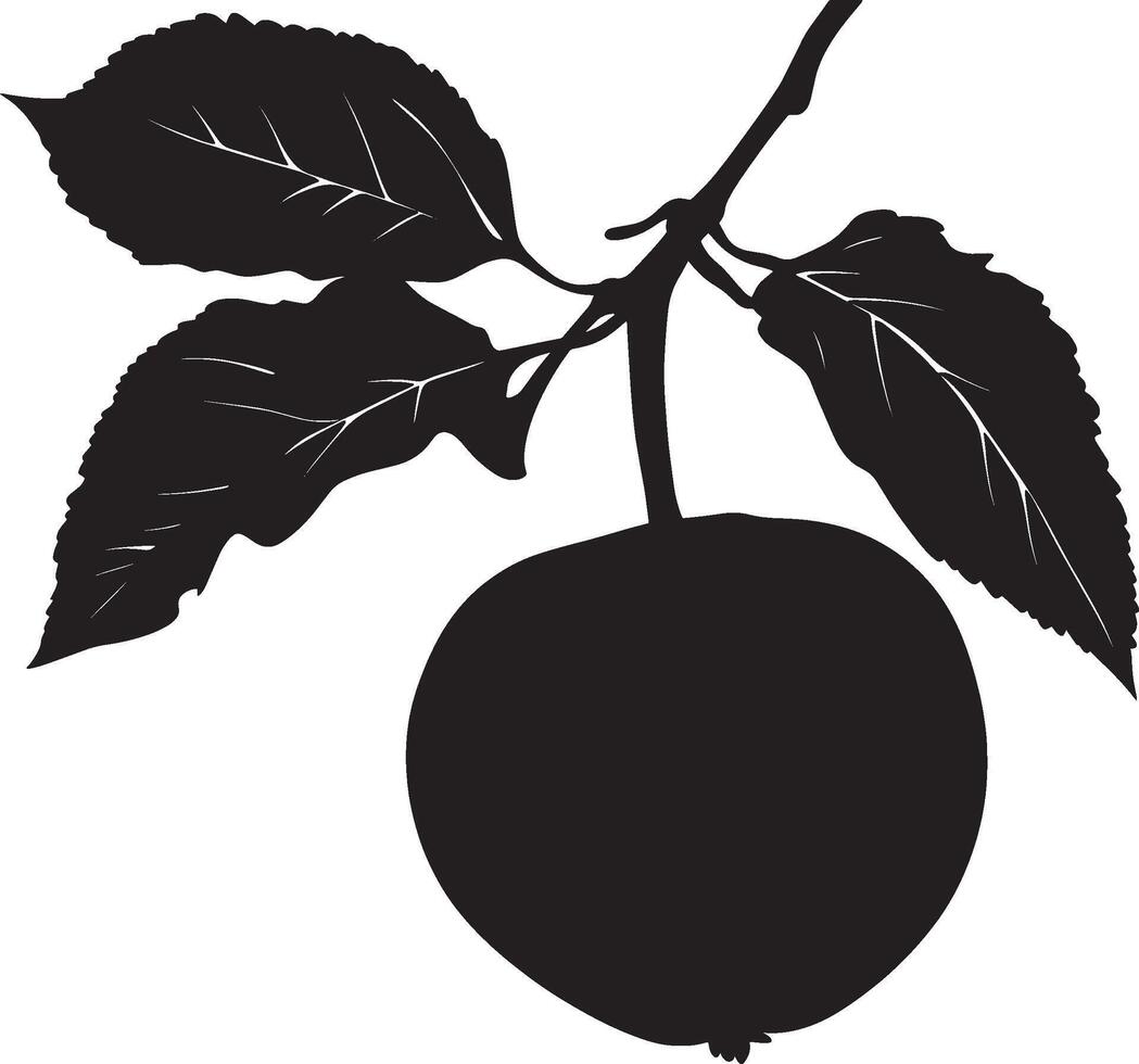 Persimmon simple silhouette black illustration vector