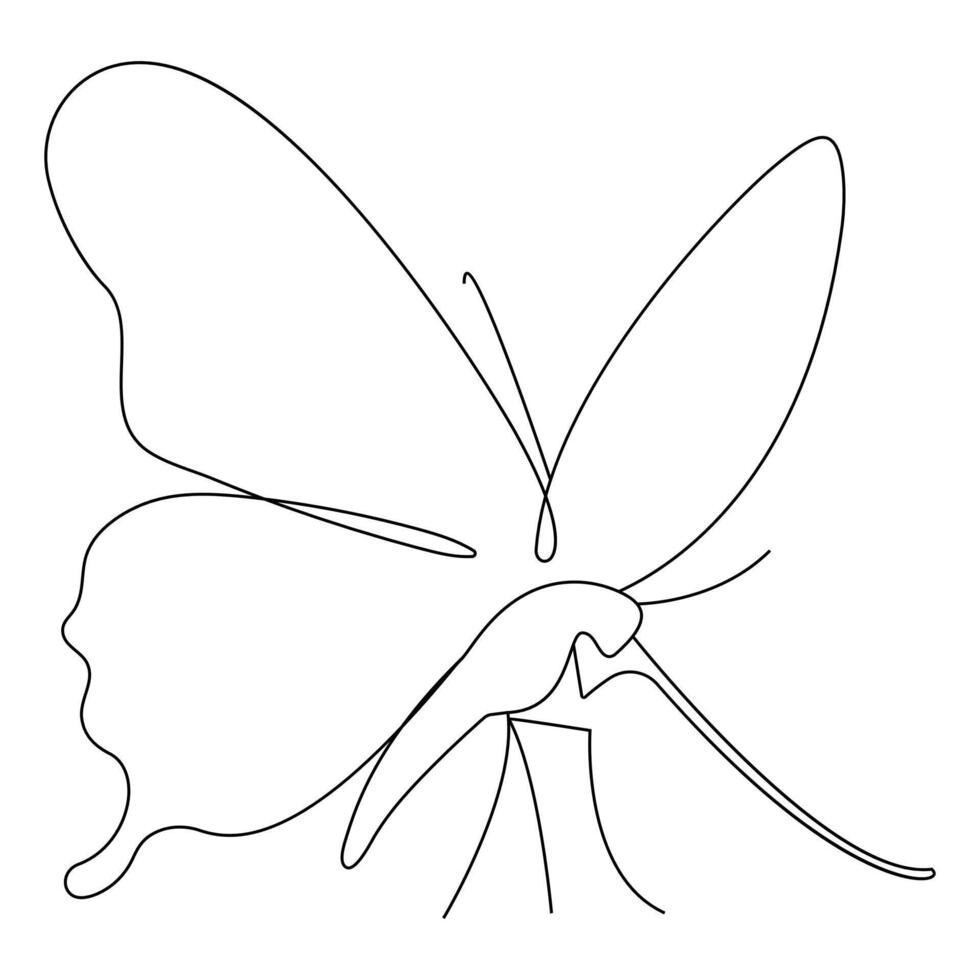 Butterfly continuous single line art drawing of white background vector