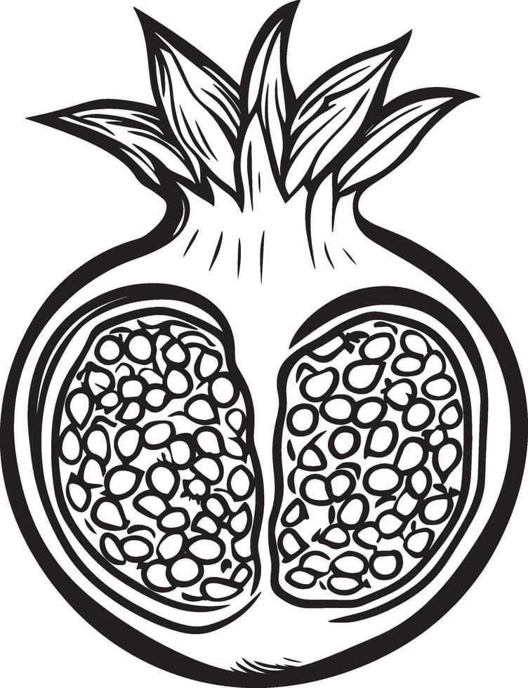 Pomegranate outline black illustration vector