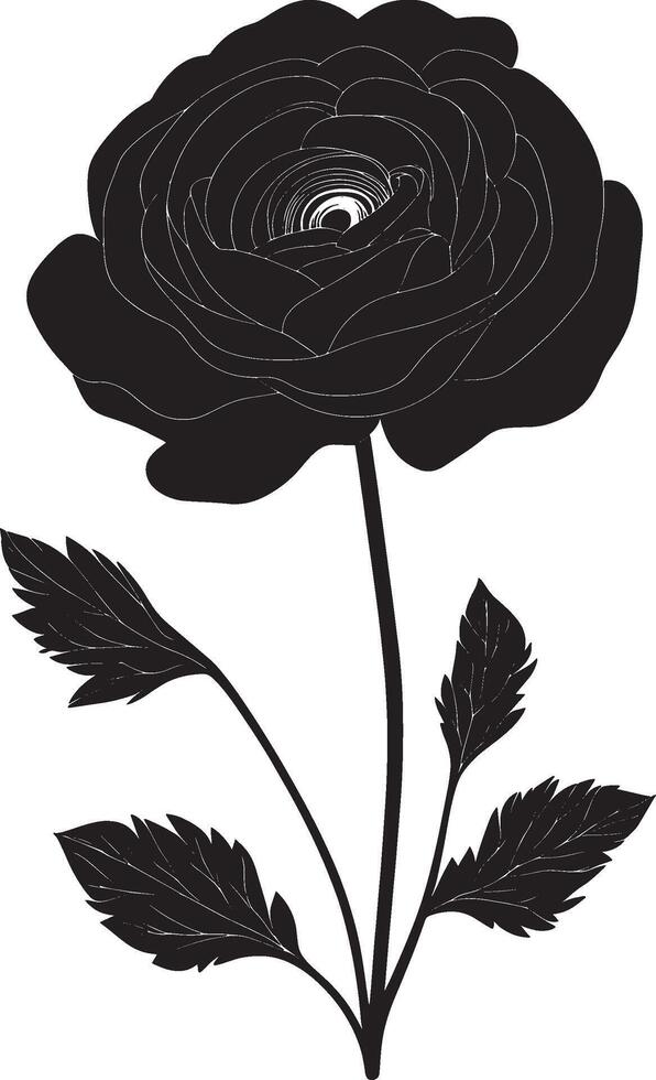 Minimalist black silhouette of a ranunculus flower in format vector