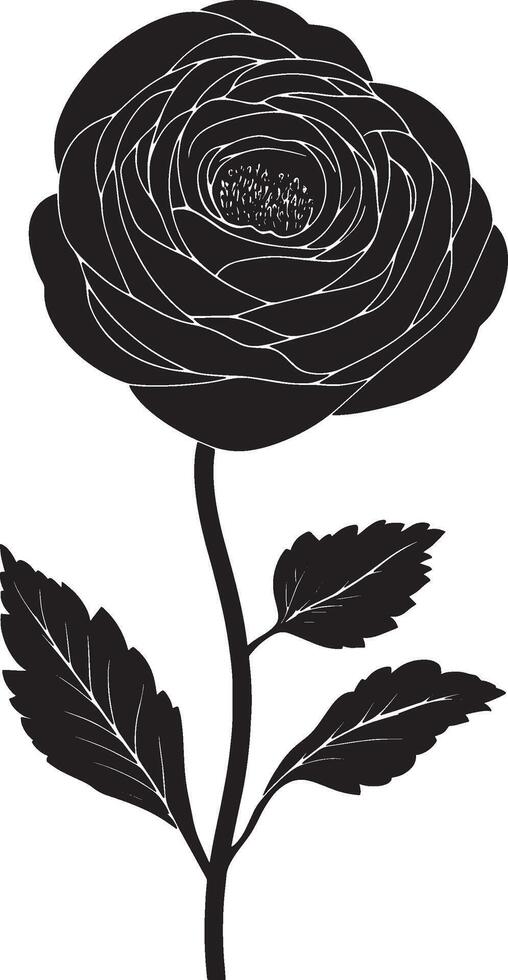 Black illustration of a ranunculus flower icon vector