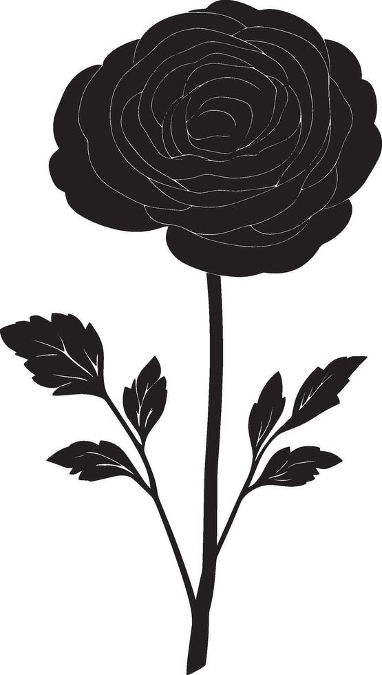 Ranunculus flower simple silhouette black illustration vector
