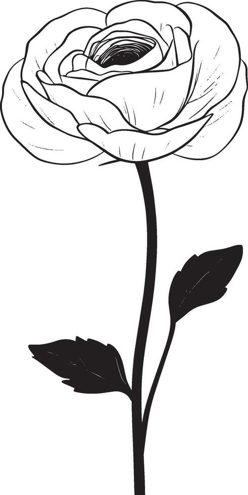 Black illustration of a simple ranunculus flower silhouette vector