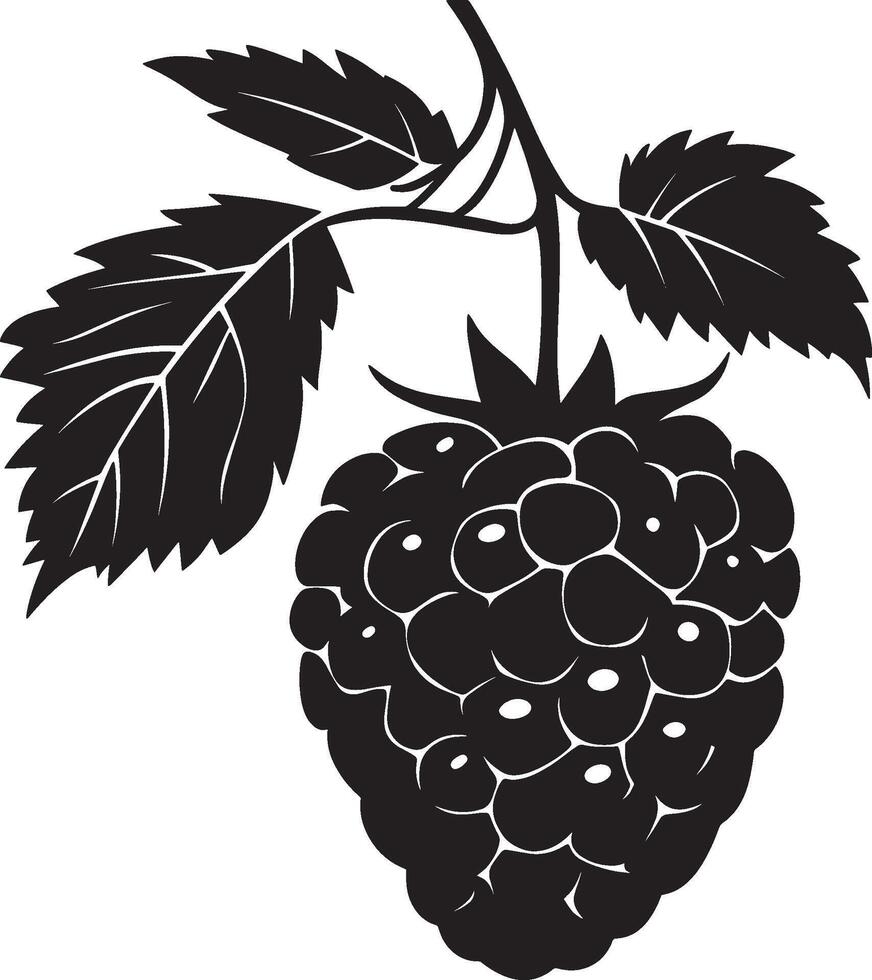 blackberry fruit with leaves illustration vector