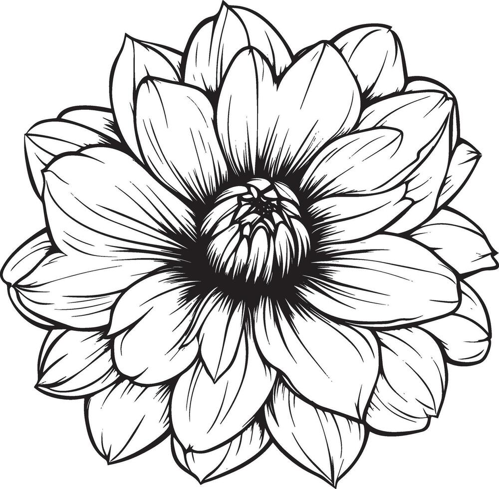 Minimalist black outline of a dahlia flower in format vector