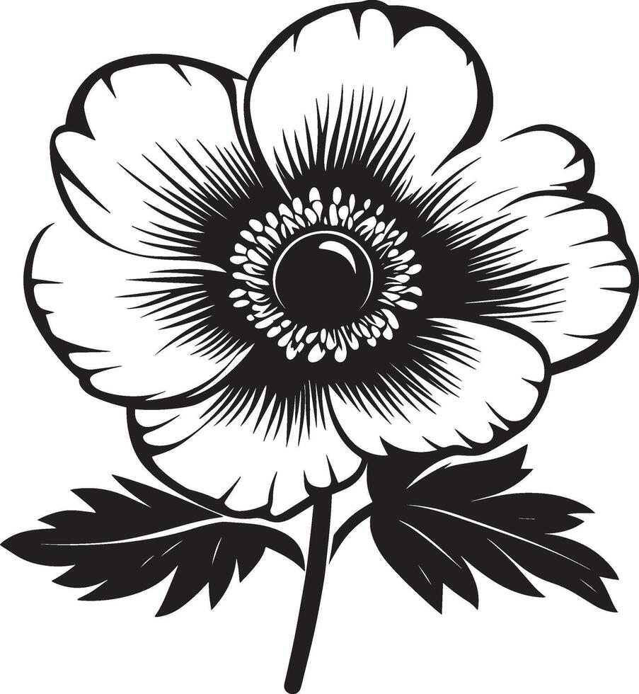Anemone flower outline in black design vector