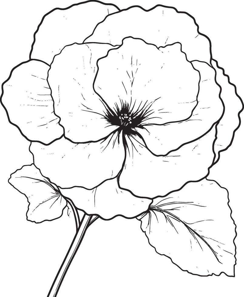 Black illustration of a begonia flower outline vector