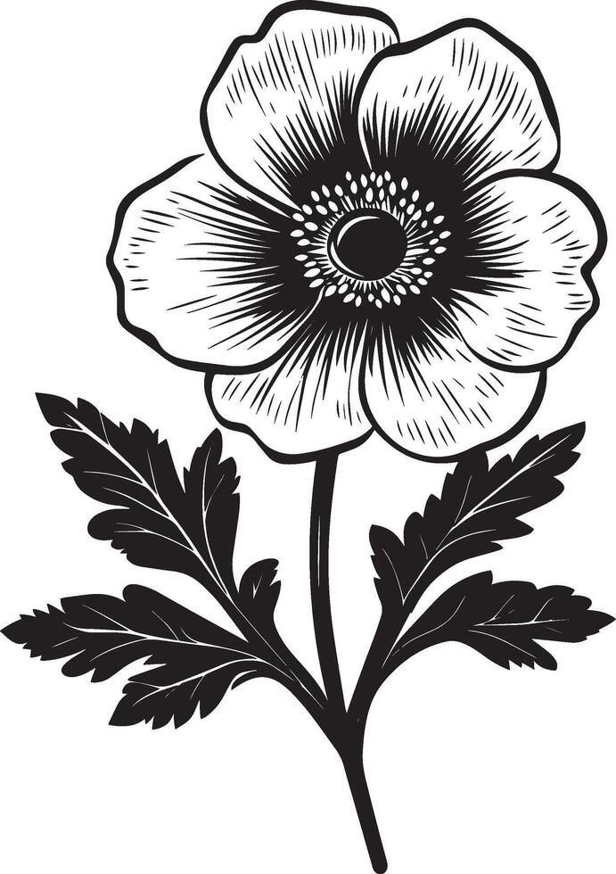 Black illustration of a simple anemone flower silhouette vector