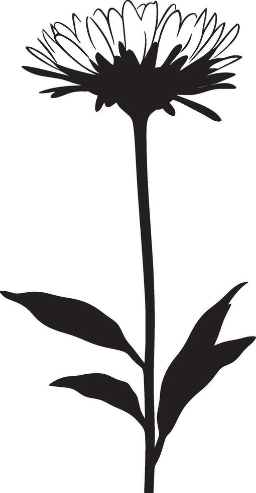 Aster flower simple silhouette black illustration vector