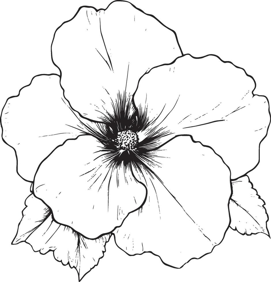 Minimalist black outline of a begonia flower in format vector