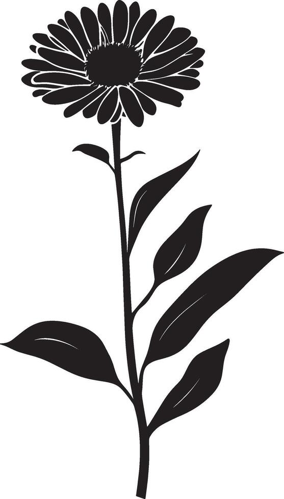 Minimalist black silhouette of an aster flower in format vector