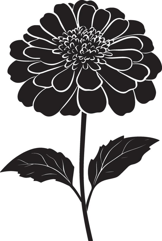 Minimalist black silhouette of a zinnia flower in format vector