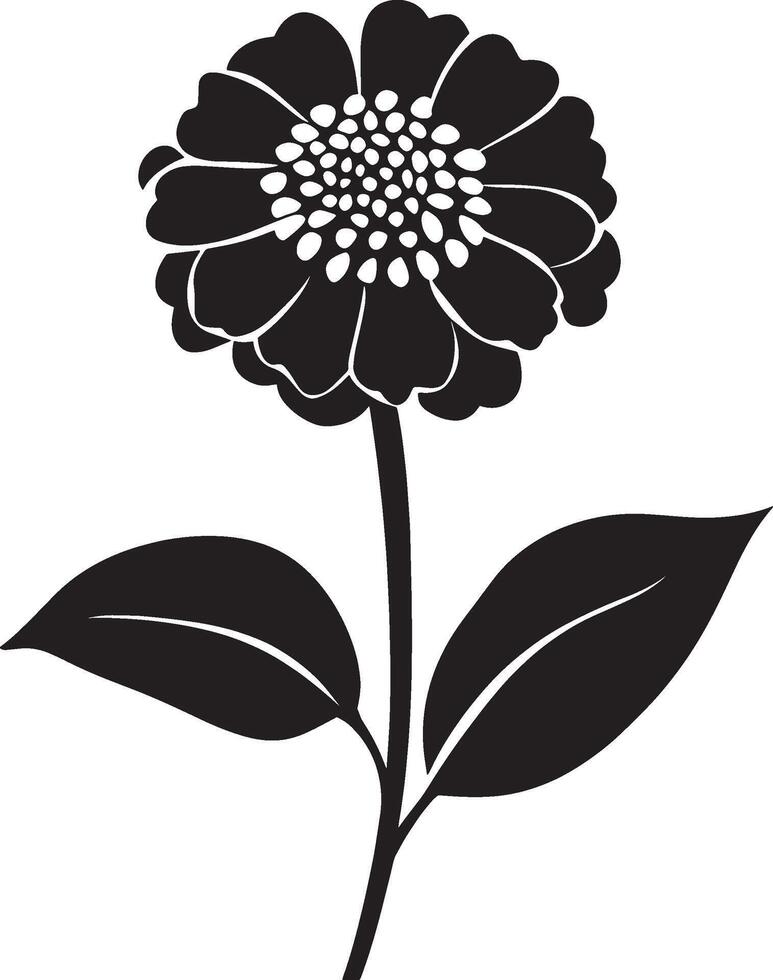 Zinnia flower simple silhouette black illustration vector