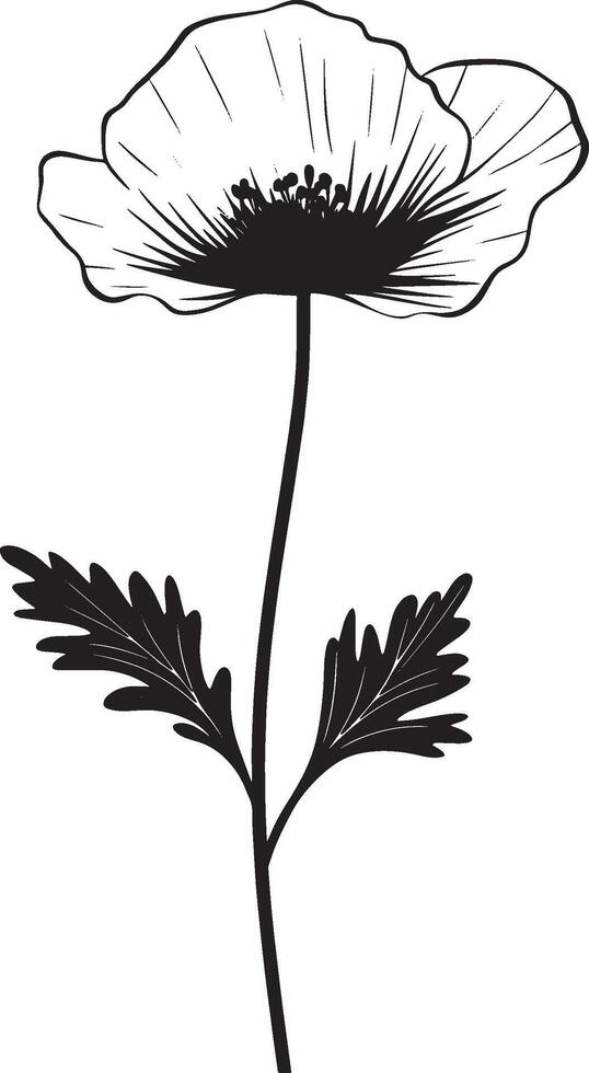 Minimalist black silhouette of a poppy flower in format vector