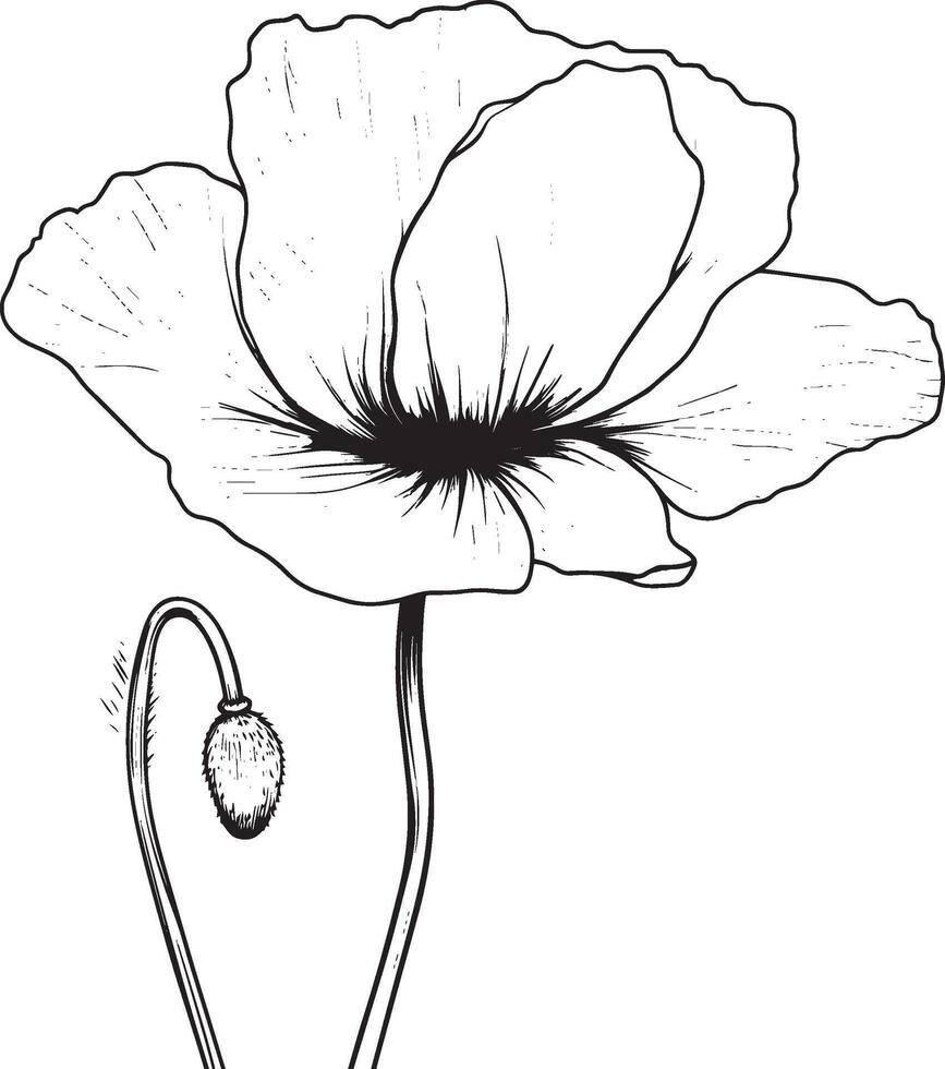 Minimalist black outline of a poppy flower in format vector