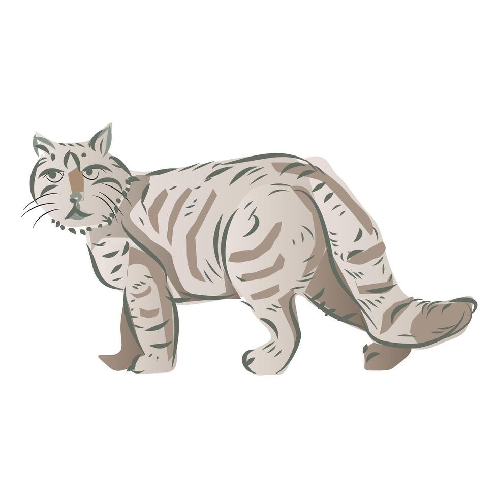 Cat Drawing Illustration vector