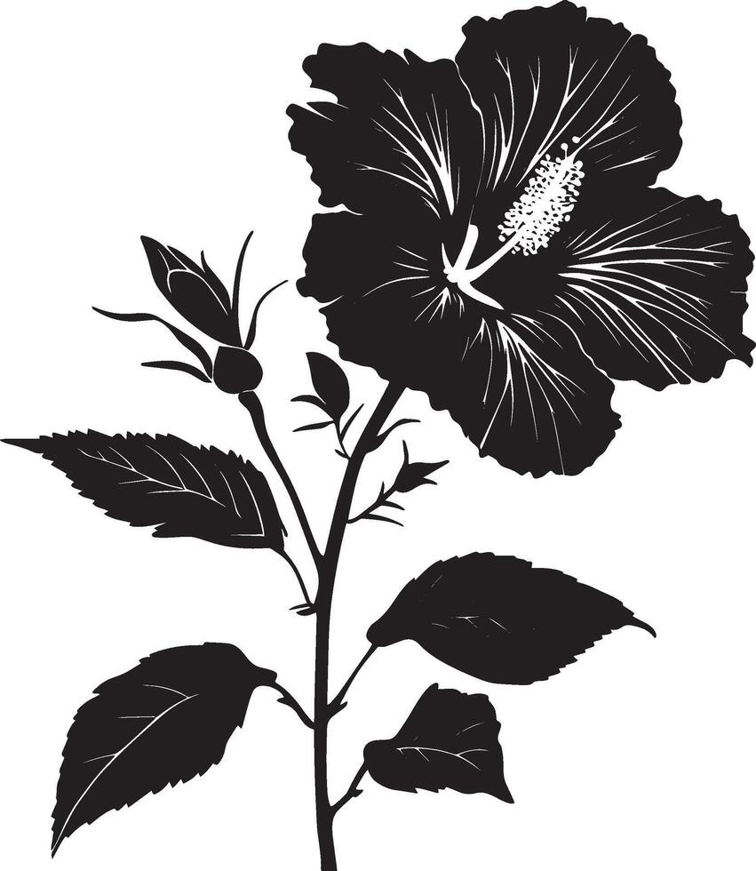 Hibiscus flower simple silhouette black illustration vector