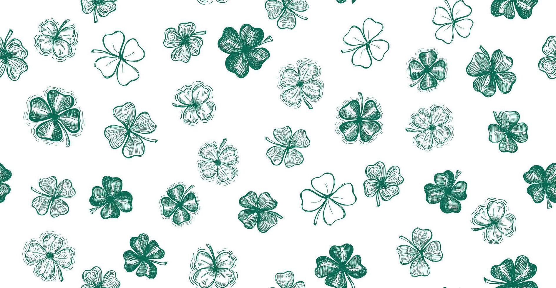Clover pattern on white. St. Patricks Day, Hand drawn illustrations vector