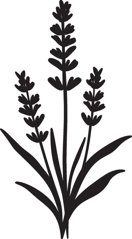 Lavender flower icon black illustration vector