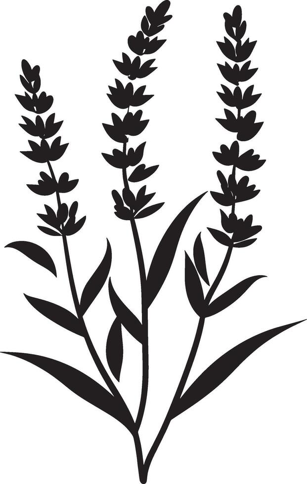 Minimalist black icon of a lavender flower in format vector