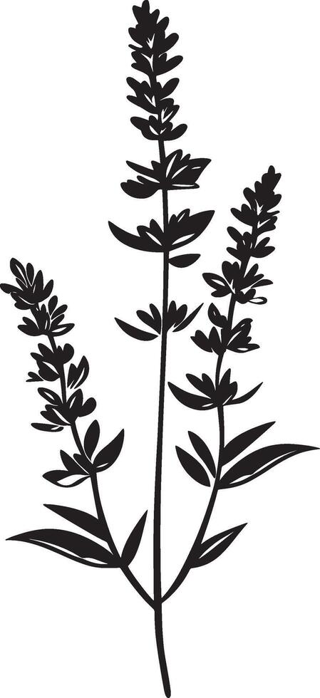 Lavender flower simple silhouette black illustration vector