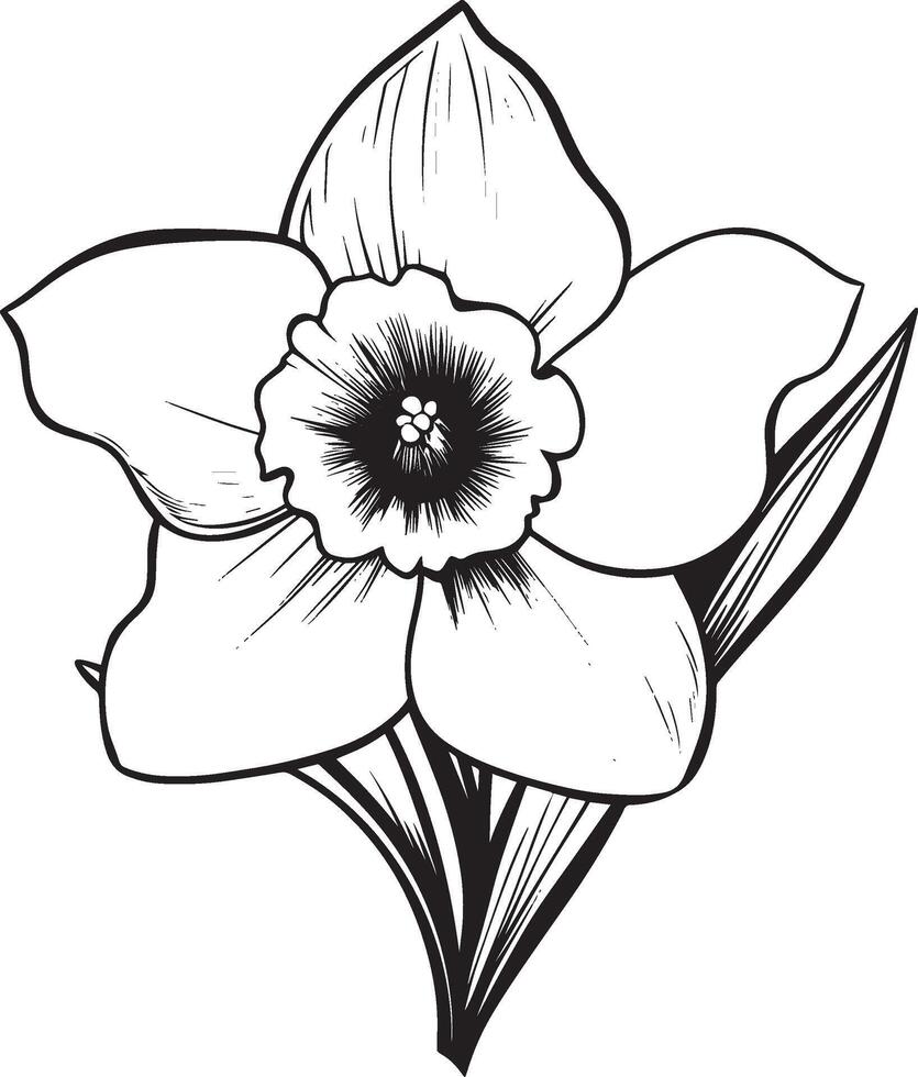Black illustration of a daffodil flower outline vector
