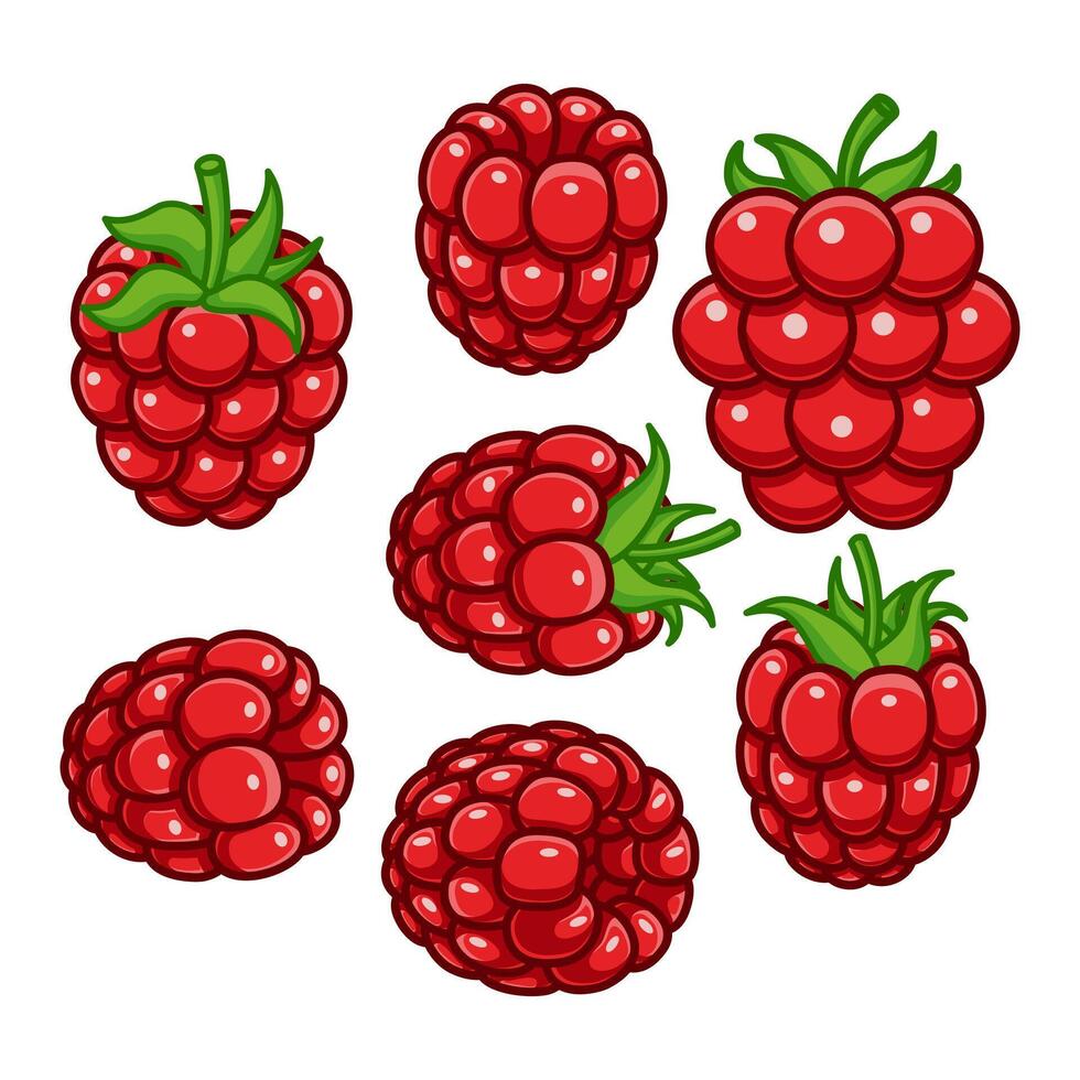 Raspberry, are elegantly arranged to showcase their shapes and colors. vector