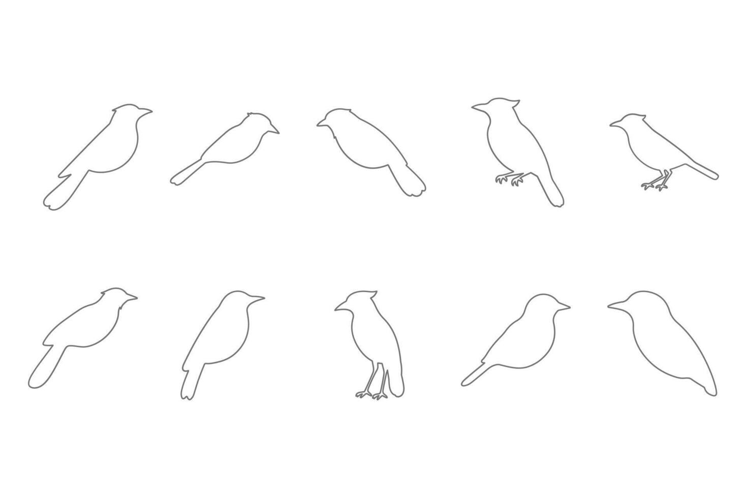 Magpie Robin Outline Icon Set vector