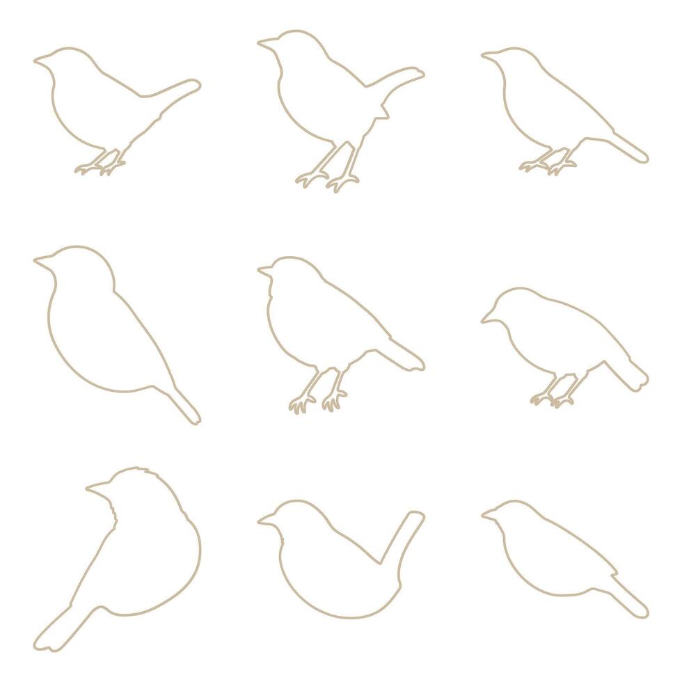 Scaly Breasted Munia Outline Icon Set vector