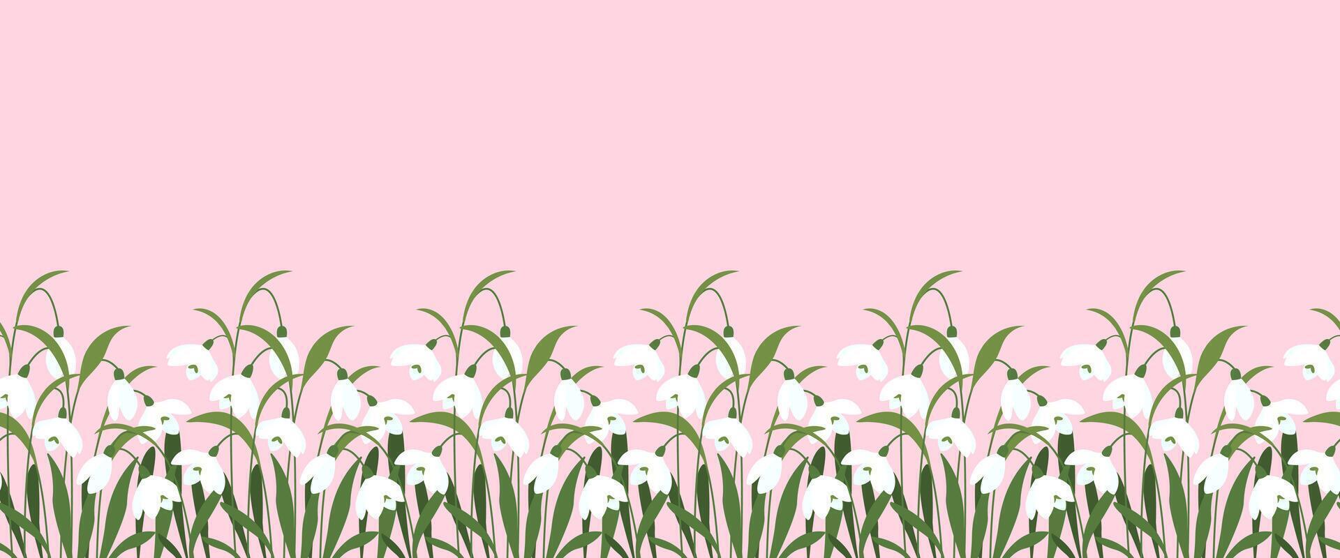 Snowdrops seamless border. First spring flowers in flat style. illustration vector