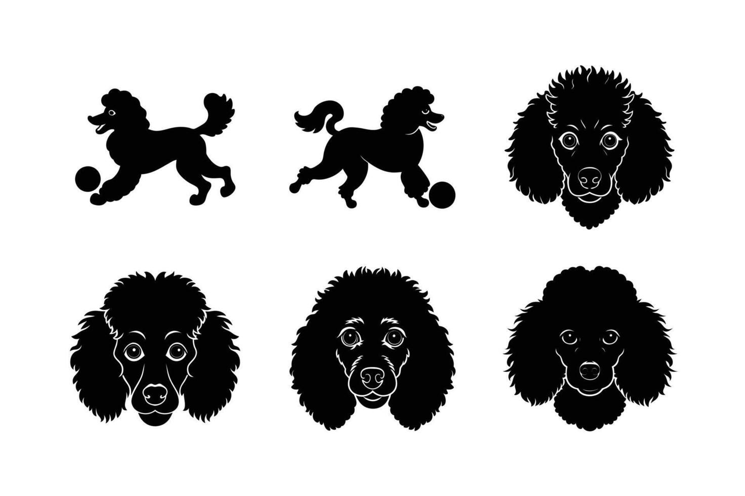 Poodle silhouette design for creative projects vector