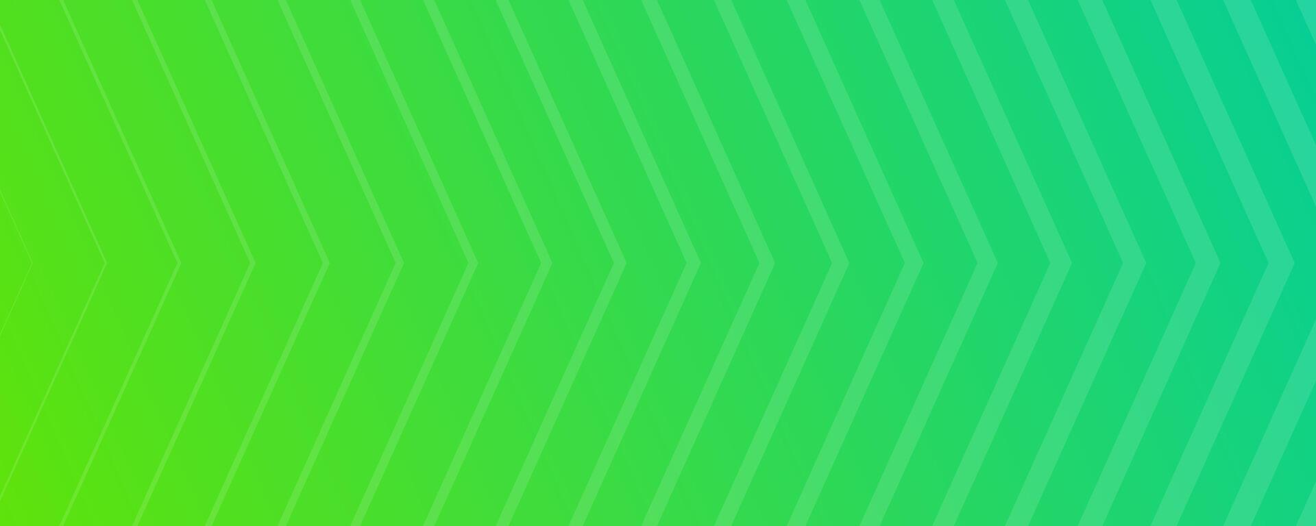 Modern green gradient backgrounds with lines. Header banner. Bright geometric presentation backdrops. illustration vector