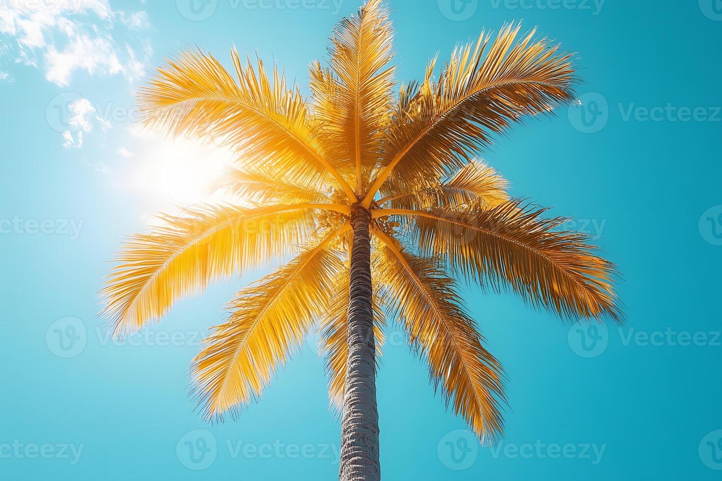 Tropical Summer Vibes Majestic Palm Tree Against Clear Blue Sky photo