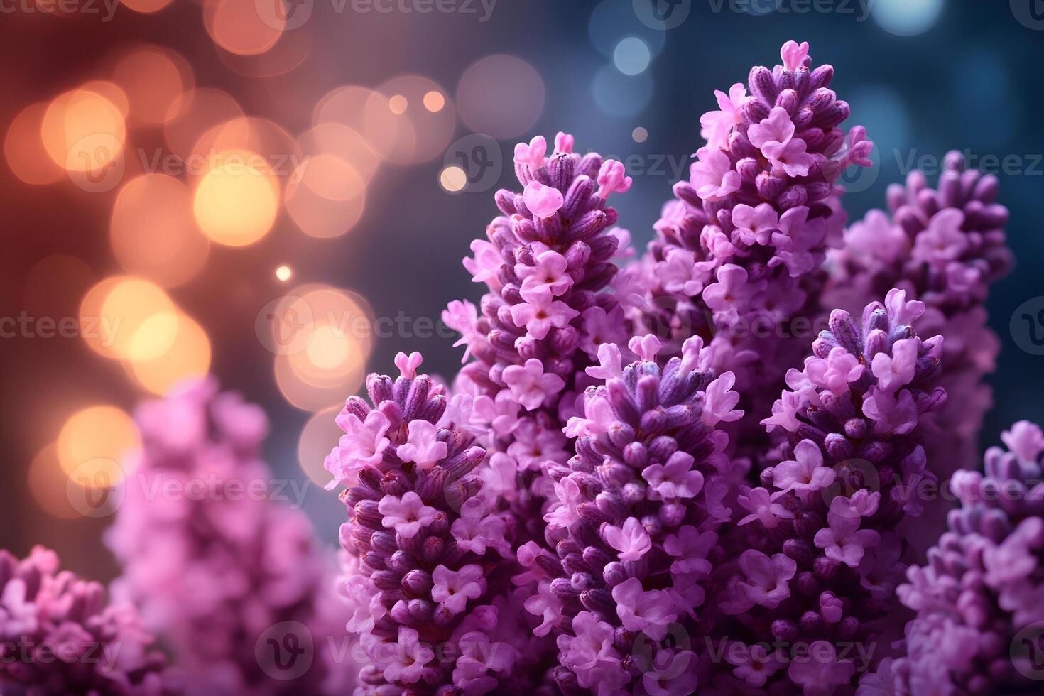 Lavender Blooms with Bokeh Lights Background for Relaxation and Serenity photo