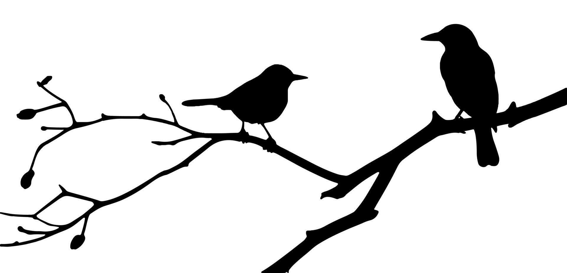 Birds on a branch clipart vector