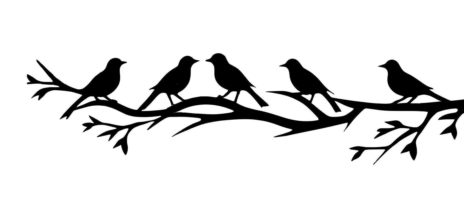 Birds on a branch silhouette on a white vector