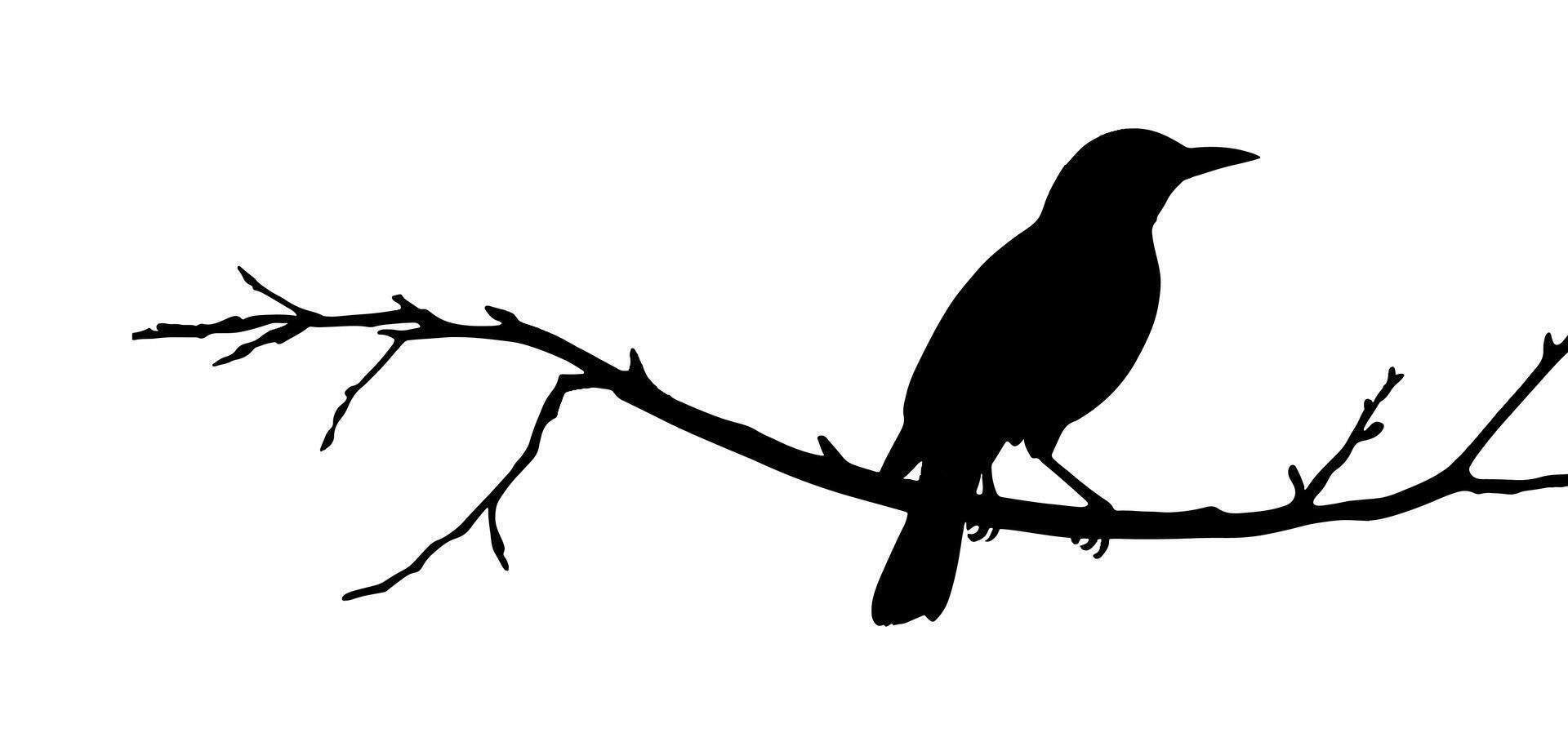 Bird on a branch silhouette illustration vector