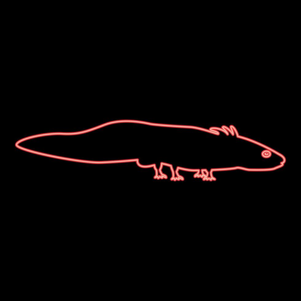 Neon axolotl ambystoma mexicanum view side red color style vector