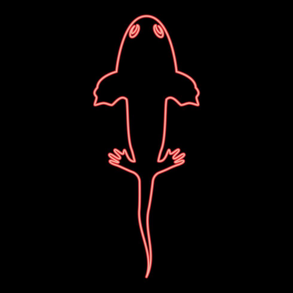 Neon axolotl ambystoma mexicanum overhead view red color style vector