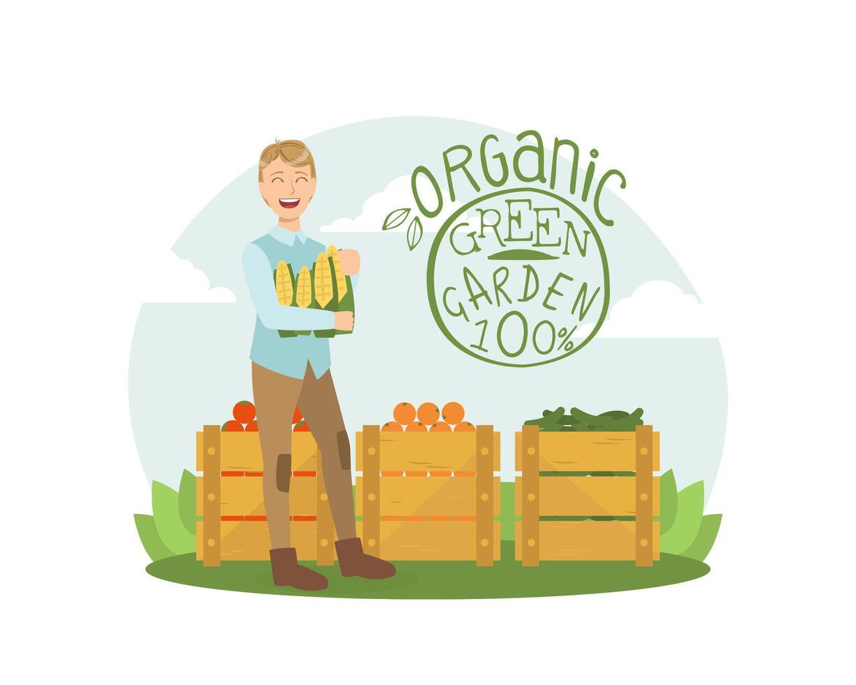 Organic Green Garden, Smiling Man with Fresh Bio Vegetables and Fruits in Wooden Crates Illustration vector