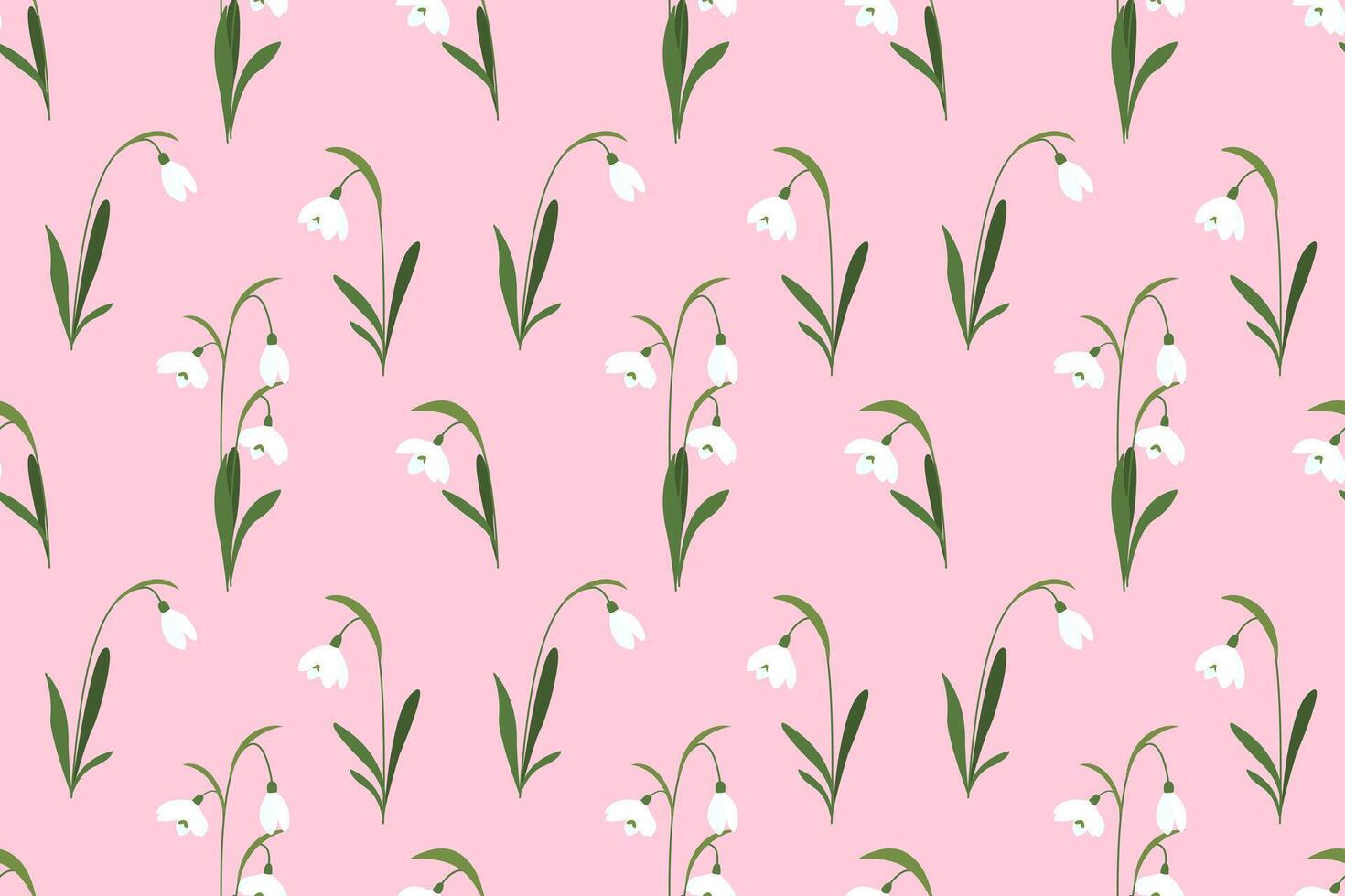 Snowdrops flower on pink background. Spring floral hand drawn background. illustration vector